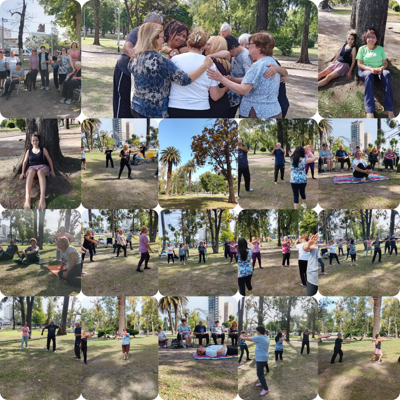 Comunidad de la Academia Águila Blanca practicando Tai Chi y Chi Kung en plazas de Zona Sur